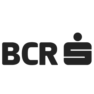 BCR Logo Training Client